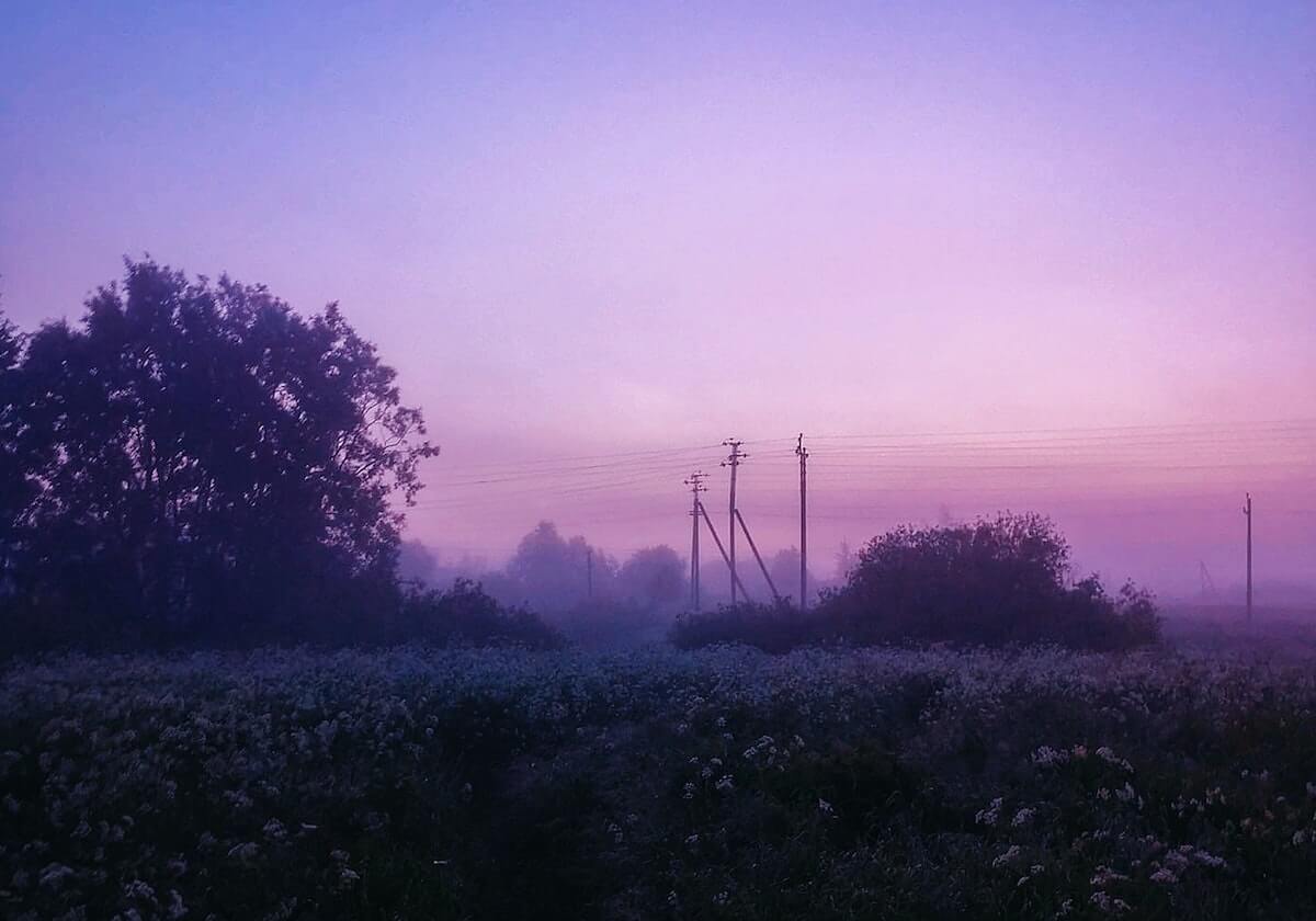 张建超：平芜尽处是春山