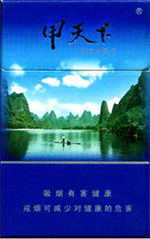 甲天下(精品)