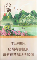 真龙(壮丽)