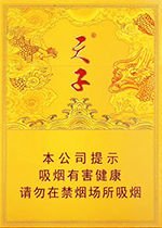 天子(中支)