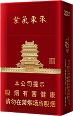 紫气东来(鹳雀楼)